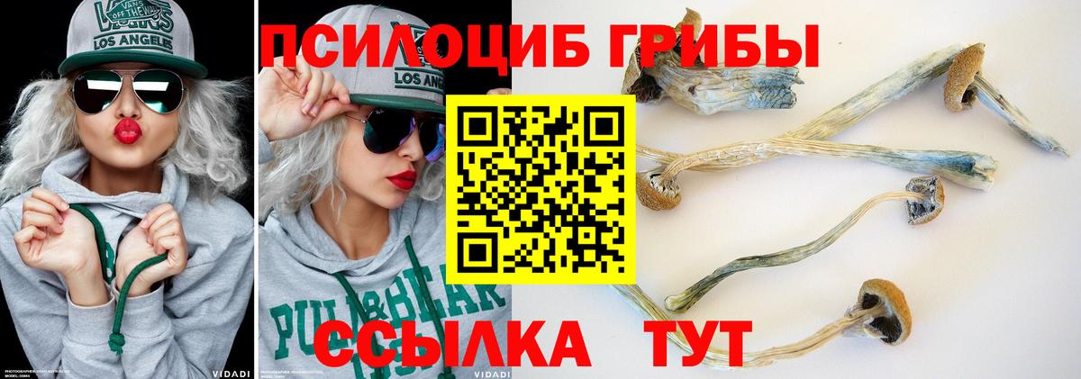 Псилоцибиновые грибы Magic Shrooms  Вход с VPN  Большой Камень 