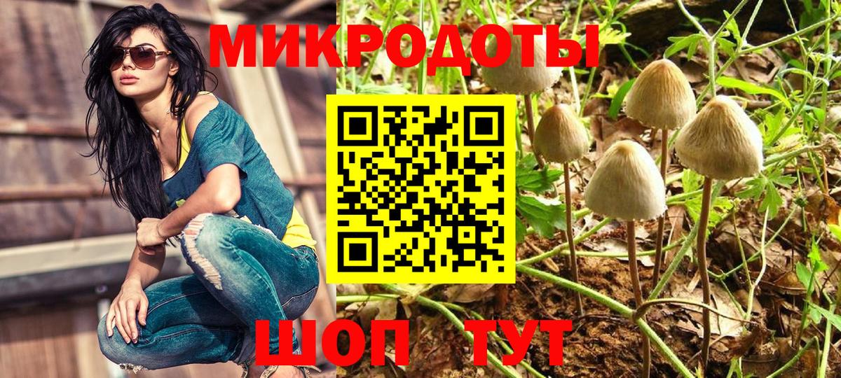 Псилоцибиновые грибы Psilocybine cubensis Большой Камень